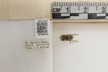 Media type: image;   Entomology 788250 Aspect: Labels